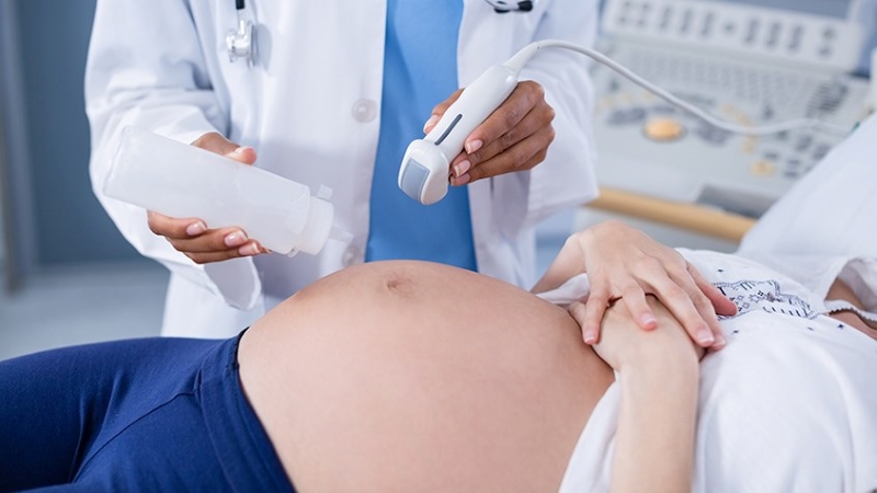 cẩm nang mang thai và sinh con 2024