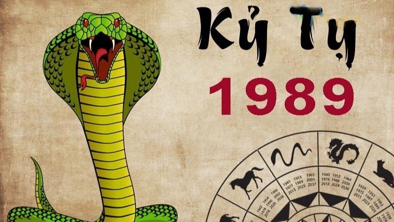 địa chi tuổi kỷ tỵ 1989