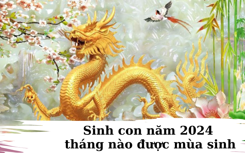 Sinh con giáp Thìn 2024 nên chọn tháng mùa sinh nào?