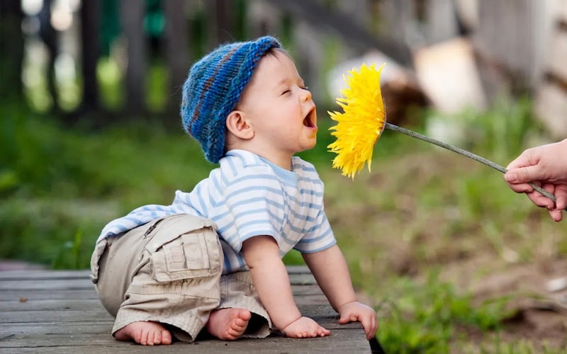 Tên hay cho bé trai họ Ngô