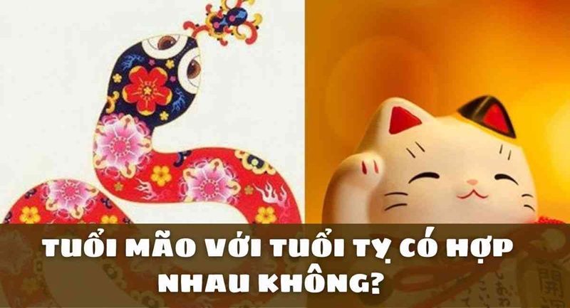 Tuổi Mão và tuổi Tỵ có hợp nhau không?    