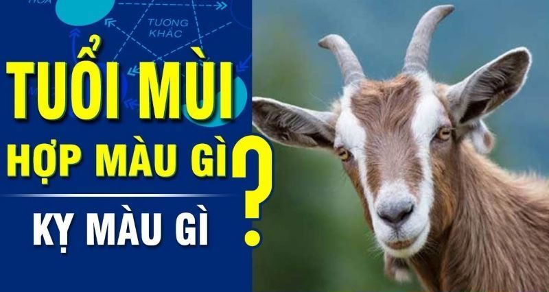 Những gam màu kỵ với người sinh năm 2003