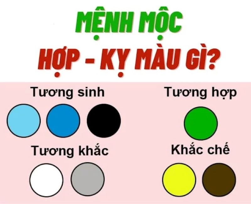 Người mệnh Mộc tuổi Mùi kỵ màu gì