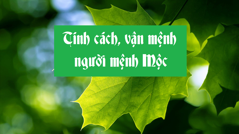 Tính cách của người mệnh Mộc