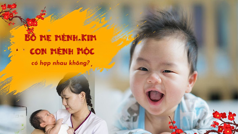 bố mẹ mệnh kim con mệnh mộc