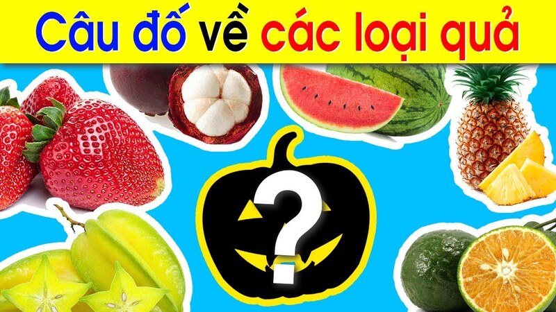 Câu đố về các loại trái cây mới nhất 2024