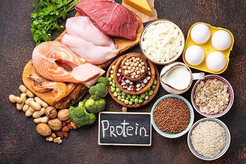 Protein giúp cung cấp chất dinh dưỡng của mô và hỗ trợ bé phát triển