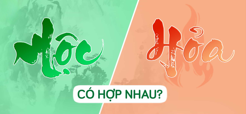 Mẹ mệnh Hỏa sinh con mệnh Mộc