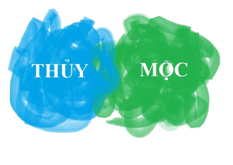 Mối quan hệ có tính một chiều của người mệnh Mộc - Thủy