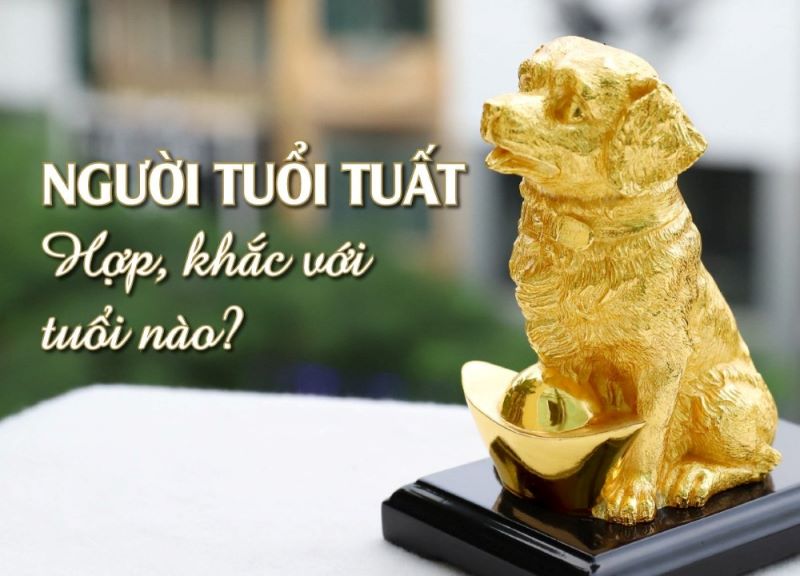 Đặc điểm tính cách nữ giới tuổi Tuất sinh năm 2018