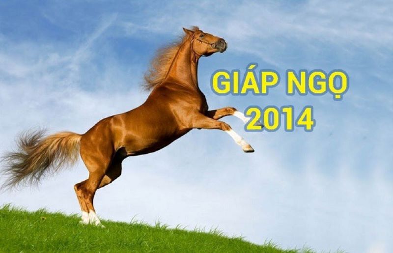 Người sinh năm 2014 thuộc tuổi Giáp Ngọ