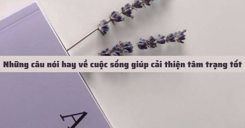 Tổng hợp những câu nói ý nghĩa về cuộc sống bằng tiếng anh