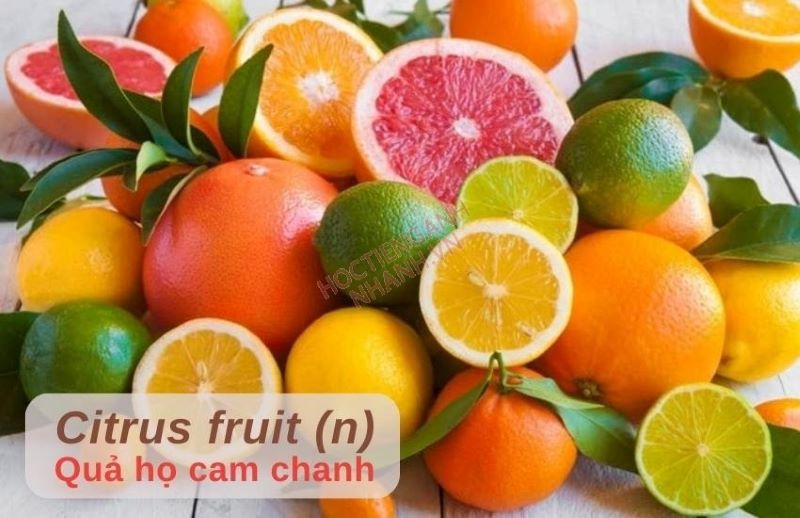 Từ vựng tiếng Anh theo chủ đề hoa quả họ cam chanh