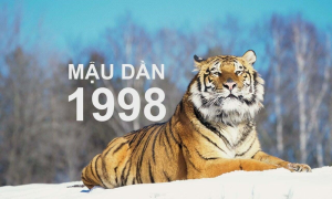 Chồng 1998 vợ 2000 sinh con năm nào hợp phong thủy