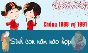 Chồng 1988 vợ 1991 sinh con năm nào hợp