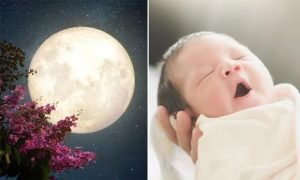Con trai sinh ngày rằm – Bí ẩn, vận mệnh và những điều cần biết