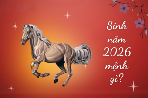 Khám phá cho tiết tuổi chồng 1992 vợ 1995 sinh con năm nào hợp?