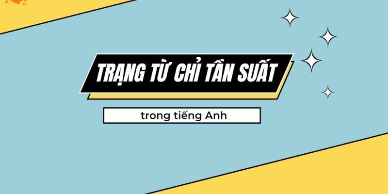 Bài tập thực hành củng cố kiến thức sau trạng từ tần suất