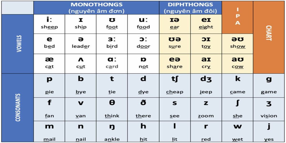 Biểu đồ minh họa sự khác biệt trong cách phát âm tiếng Anh Anh và Mỹ