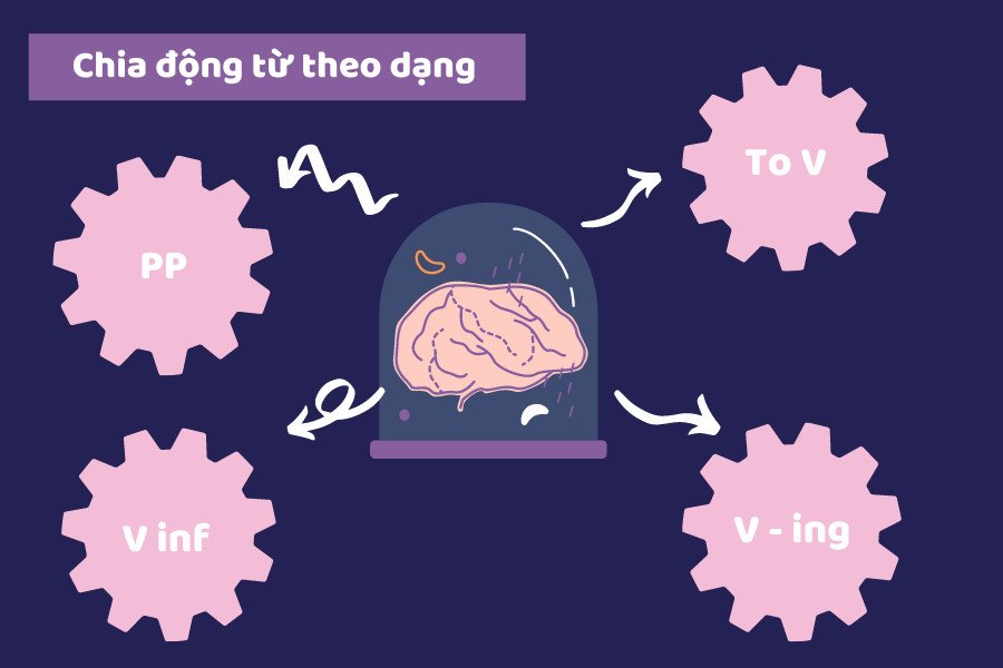 Các trường hợp phổ biến chia động từ theo dạng trong tiếng Anh (To V, Ving)