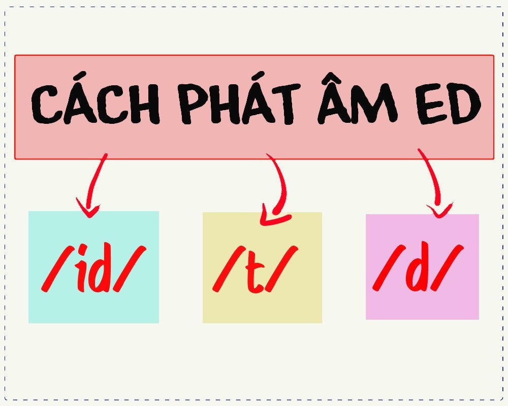 Cách phân biệt âm hữu thanh và vô thanh giúp phát âm ed chuẩn