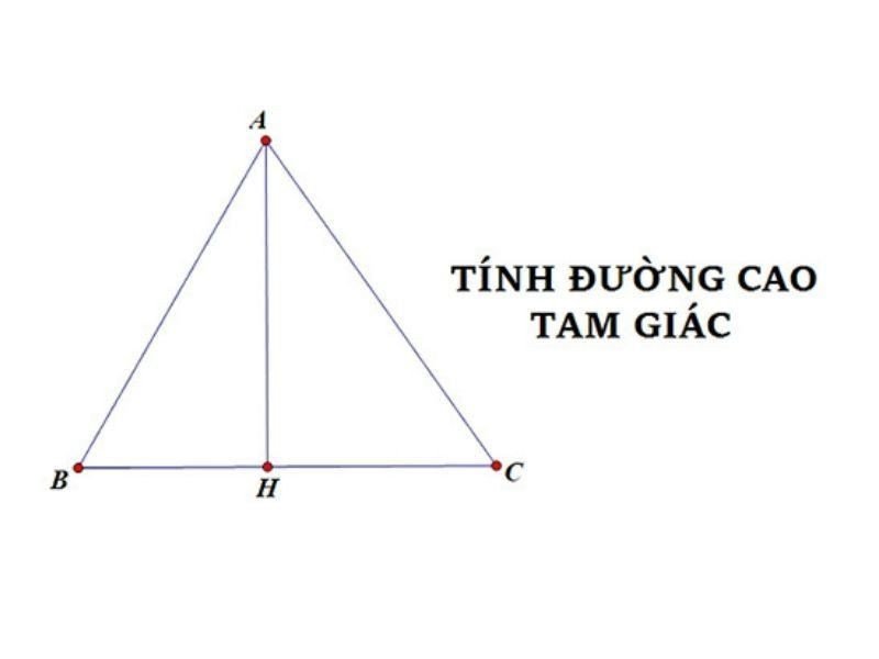 Đường cao trong tam giác cân, minh họa tính chất đồng thời là trung tuyến, phân giác