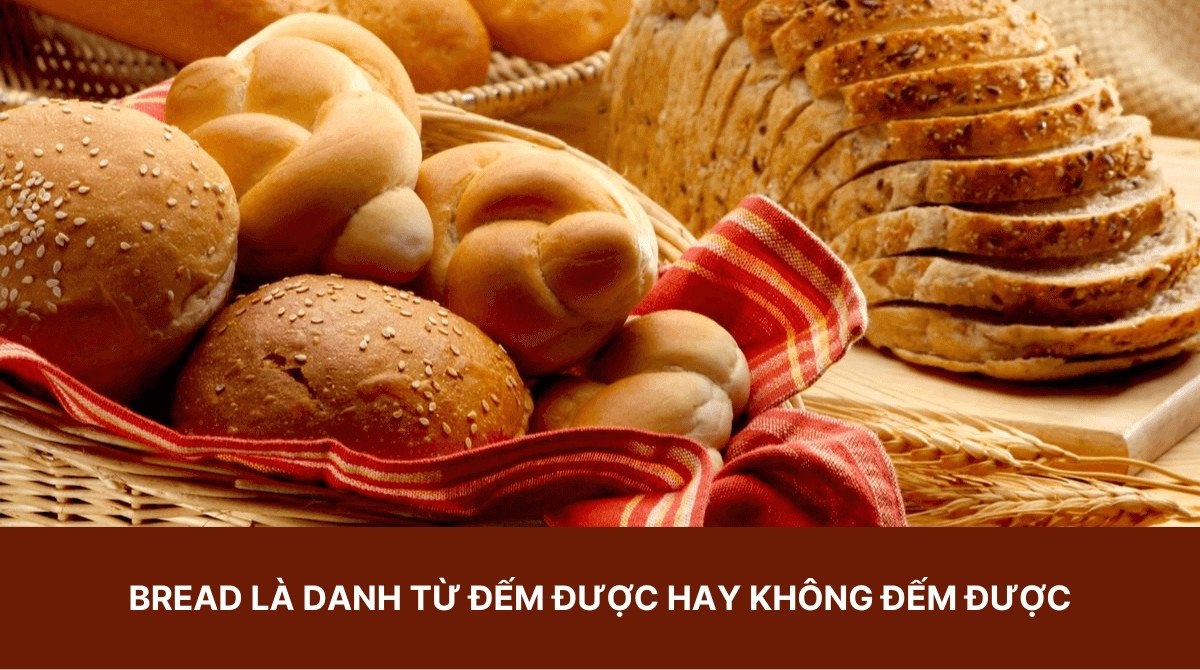 Giải thích chi tiết bread là danh từ không đếm được và cách dùng