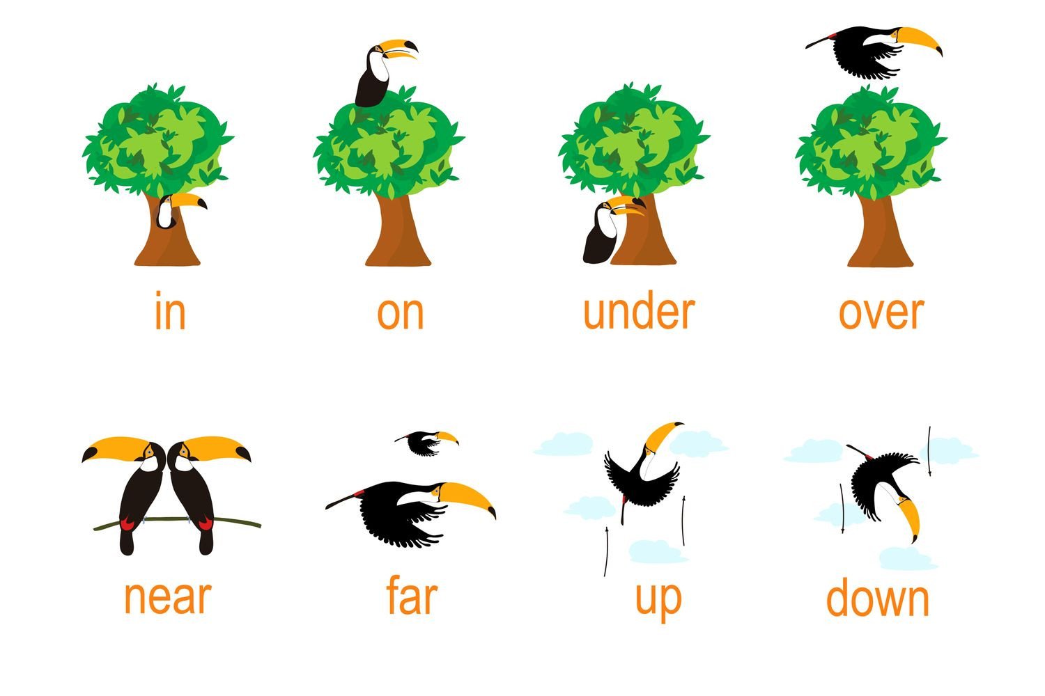 Hình ảnh minh họa các khái niệm ngữ pháp tiếng Anh cơ bản, tập trung vào cách dùng giới từ chỉ thời gian và địa điểm