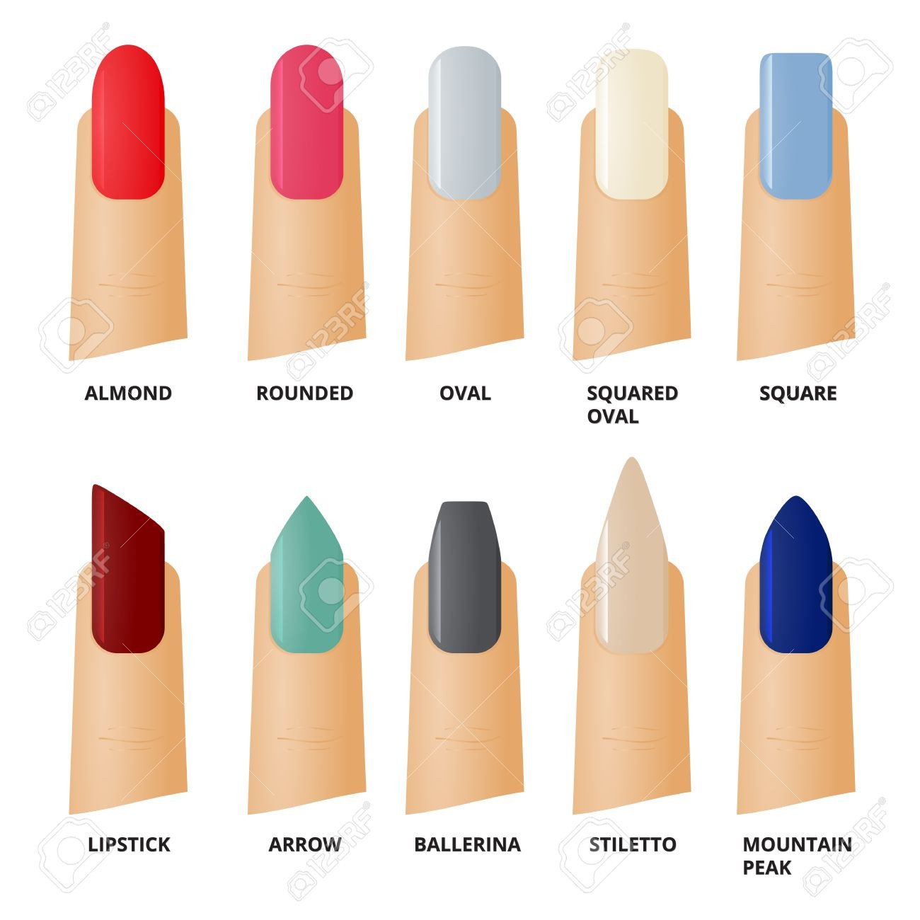 Hình ảnh minh họa các loại móng và dụng cụ cơ bản trong Tiếng Anh chuyên ngành Nail
