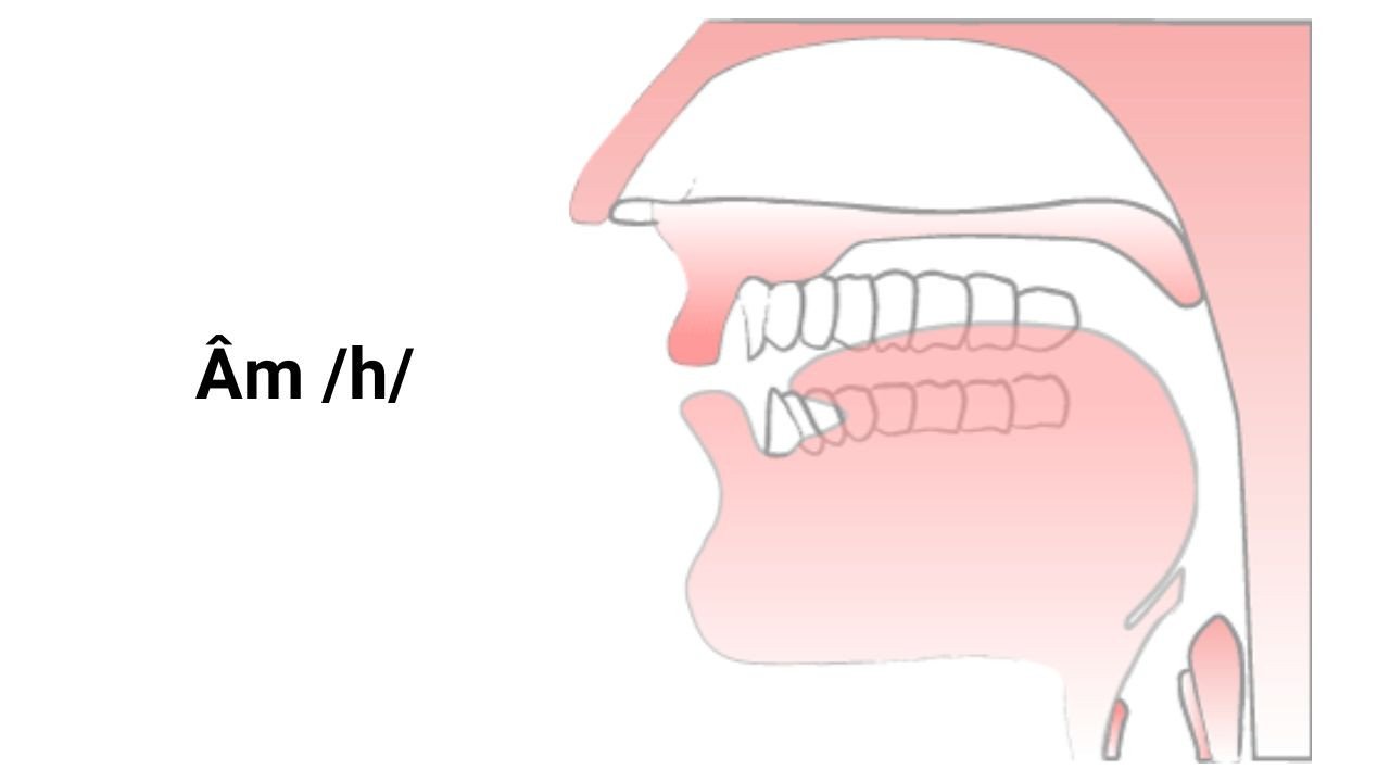 Hướng dẫn chi tiết cách phát âm âm h trong tiếng Anh