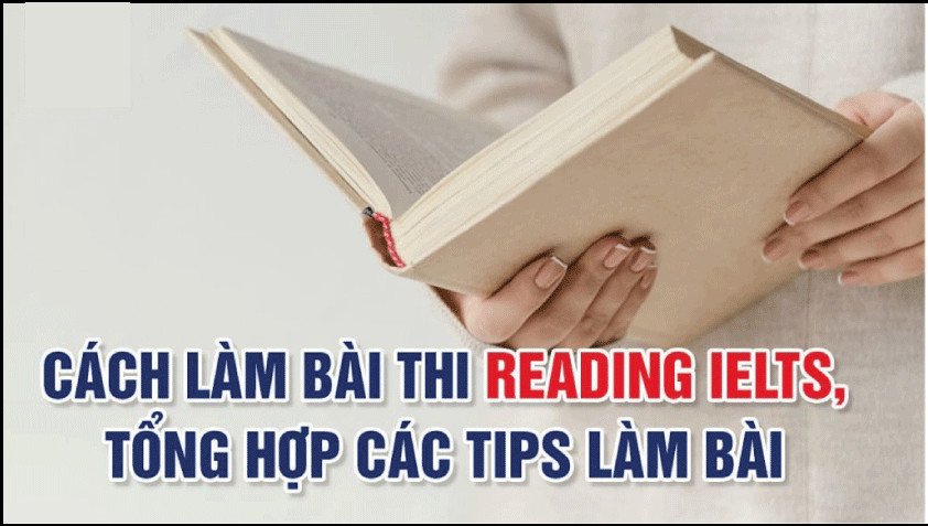 Mẹo làm bài tập Yes No Not Given và True False Not Given