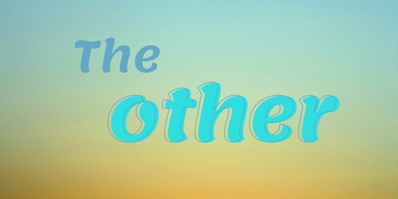 Minh họa cách dùng the other trong tiếng Anh