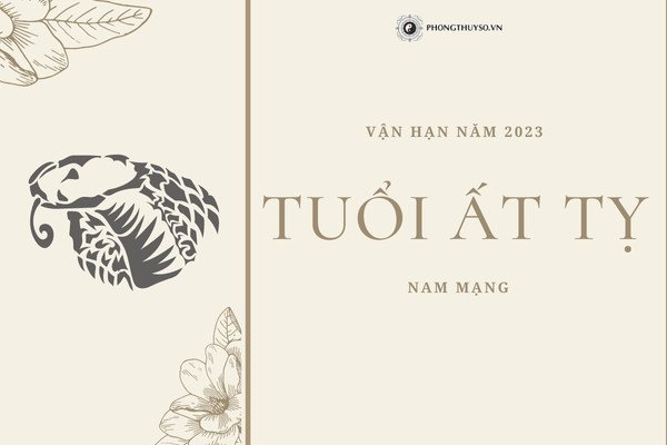 Nam mạng tuổi Ất Tỵ 1965 với vận trình sao Thái Dương năm 2023