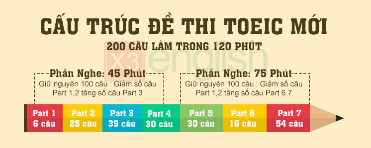 Phân tích chi tiết các phần thi Reading TOEIC