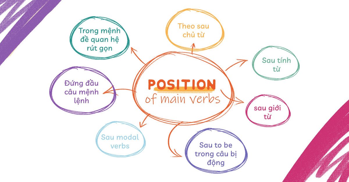 Sơ đồ minh họa vị trí của động từ trong cấu trúc câu tiếng Anh