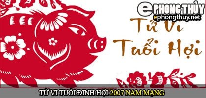 Tổng quan tử vi nam mạng tuổi Đinh Hợi 2007