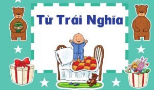 Ví dụ minh họa về các từ đối nghĩa trong tiếng Anh