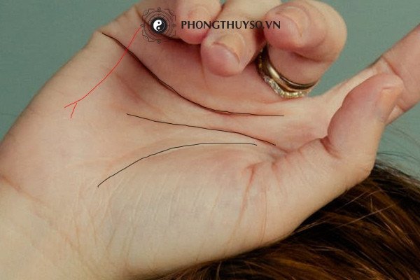 Giải mã đường chỉ tay lấy chồng nước ngoài Giải mã đường chỉ tay lấy chồng nước ngoài