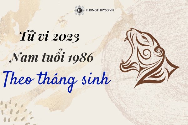 Ảnh hưởng tháng sinh đến tử vi Bính Dần 2023 nam mạng