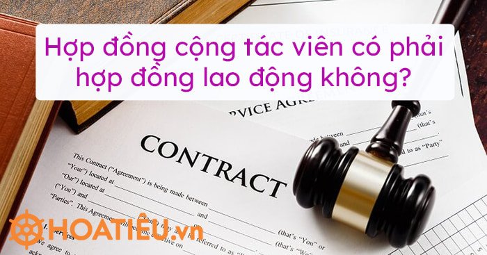 Bàn làm việc với giấy tờ hợp đồng, phân biệt hợp đồng cộng tác viên và hợp đồng lao động
