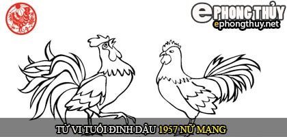 Bảng luận giải tử vi chi tiết cho nữ mạng tuổi Đinh Dậu sinh năm 1957