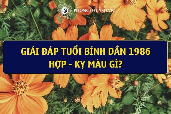 Bánh xe ngũ hành thể hiện mối quan hệ tương sinh tương khắc giữa các mệnh