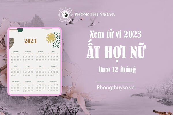 Biểu đồ hoặc hình ảnh minh họa sự biến động vận trình theo tháng của nữ Ất Hợi 1995 năm 2023