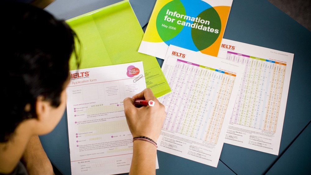 Biểu đồ minh họa các giai đoạn trong lộ trình học IELTS từ 0 đến 6.5