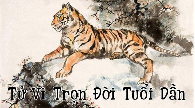 Biểu đồ tử vi trọn đời cho người Tuổi Dần