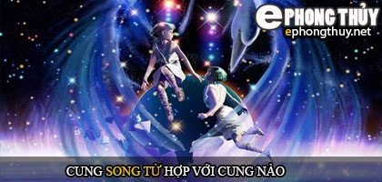 Biểu đồ tương hợp giữa cung Song Tử và các cung hoàng đạo khác