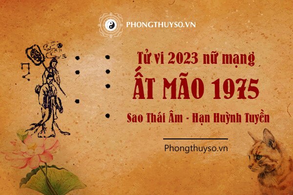 Biểu đồ vận mệnh theo tử vi phương Đông