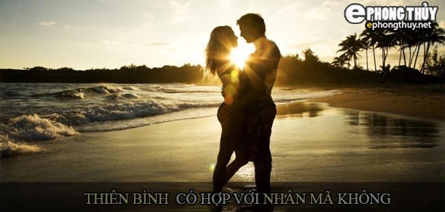 Biểu tượng cho sự tương hợp giữa Cung Thiên Bình và Cung Nhân Mã