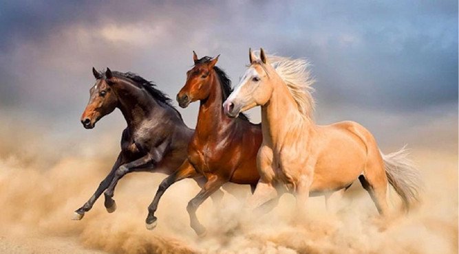 Biểu tượng con ngựa, đại diện cho người tuổi Bính Ngọ 1966