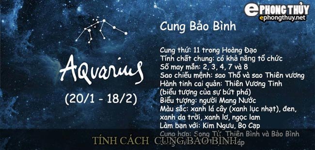 Biểu tượng người mang nước của cung Bảo Bình đại diện cho tính cách độc đáo